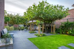 Moderne dijktuin met dakplatanen in Papendrecht