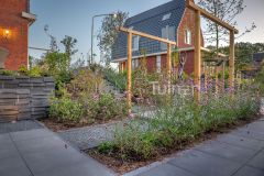 Dijktuin in Dordrecht met pergola's