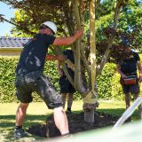 CityTree-Bomen-en-Plantencentrum-aanplantservice-aanplanten