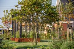 Tuinonderhoud in Papendrecht