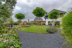 Organische vormen gras in tuin Hendrik-Ido-Ambacht