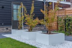 Witte plantenbakken met meerstammige bomen in Papendrecht