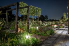 Sfeervolle pluktuin met verlichting