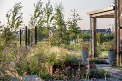 Sfeervolle pluktuin in Papendrecht