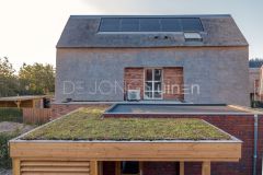 Dijktuin met overkapping en sedum op het dak