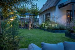 Meerstemmige boom in gazon
